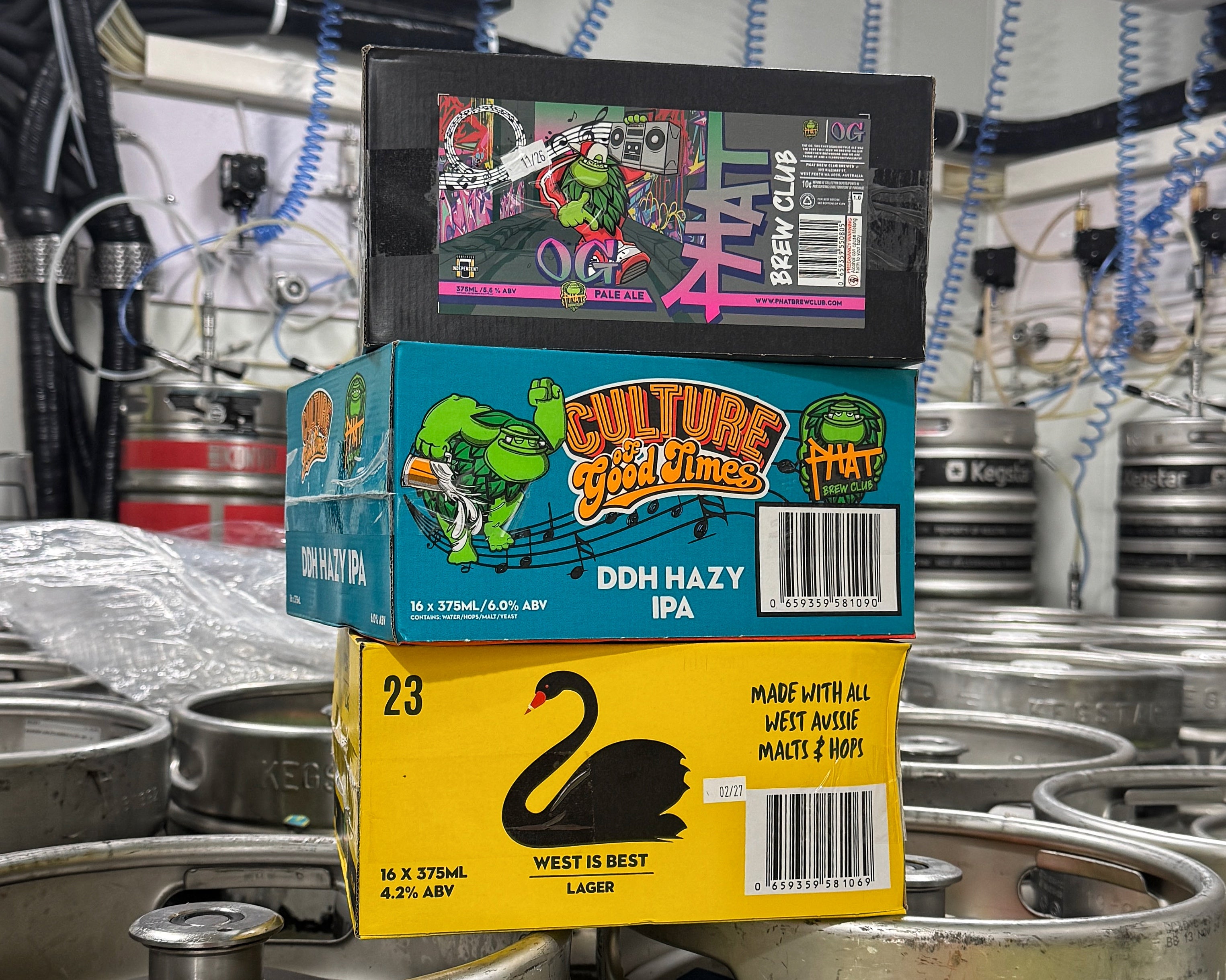 Beer (Cube - 16 x 375ml Cans) | Phat Brew Club